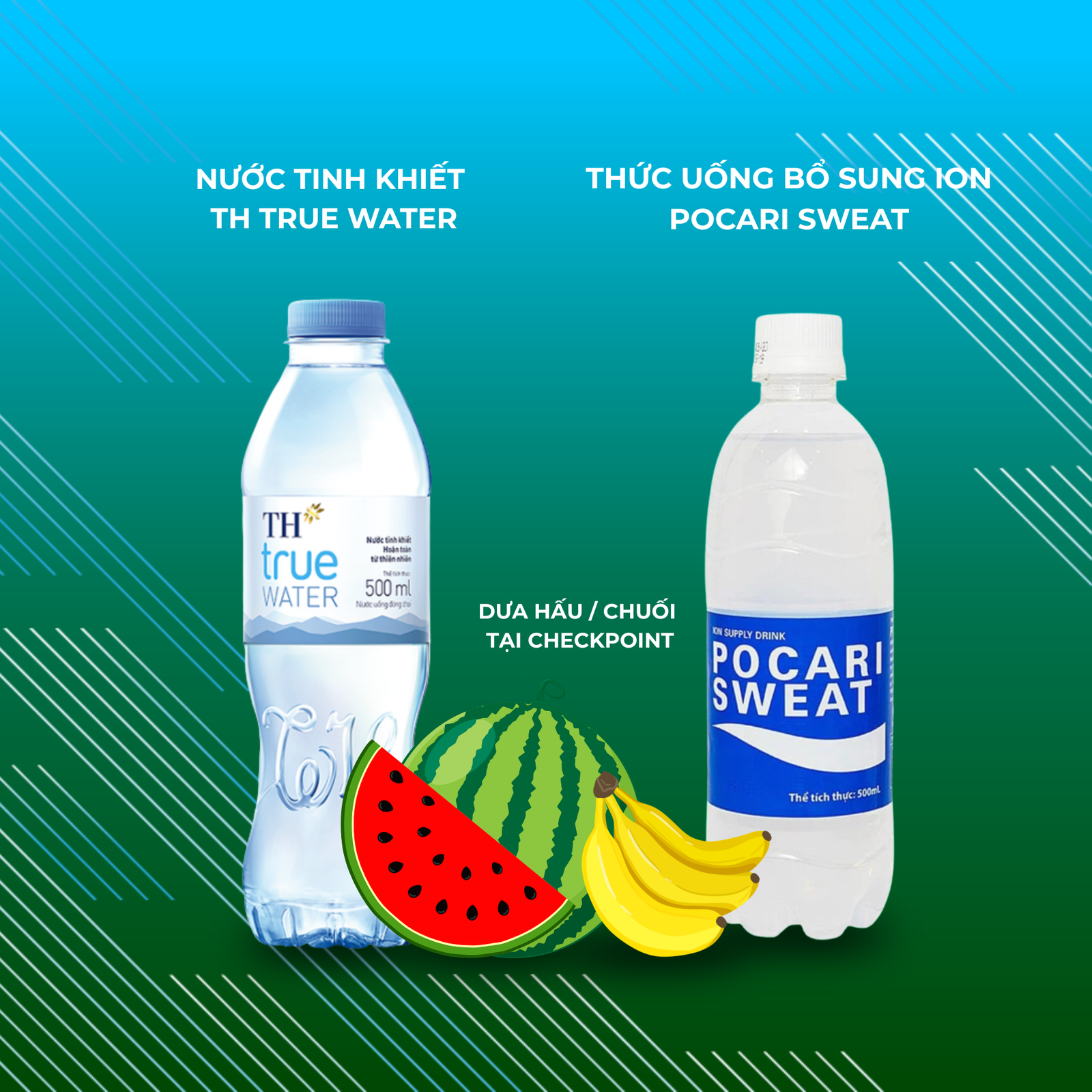 DINH DƯỠNG ĐƯỜNG ĐUA